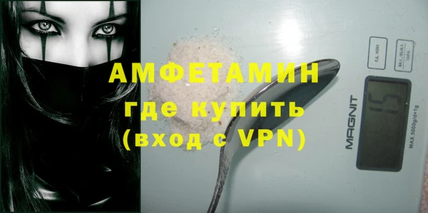 сатива Баксан