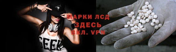 сатива Баксан