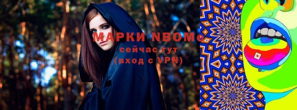 сатива Баксан